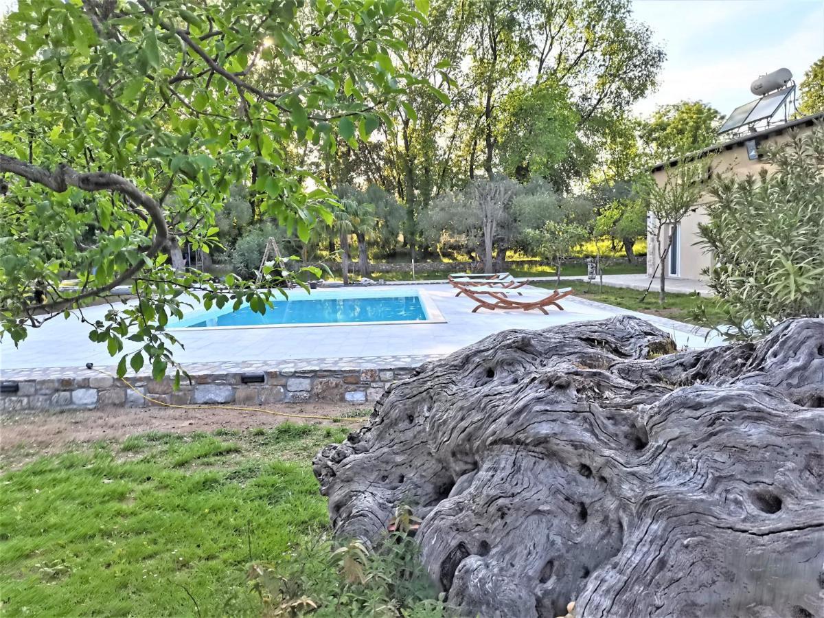 Natura Bungalows-Villa Thassos Exteriör bild